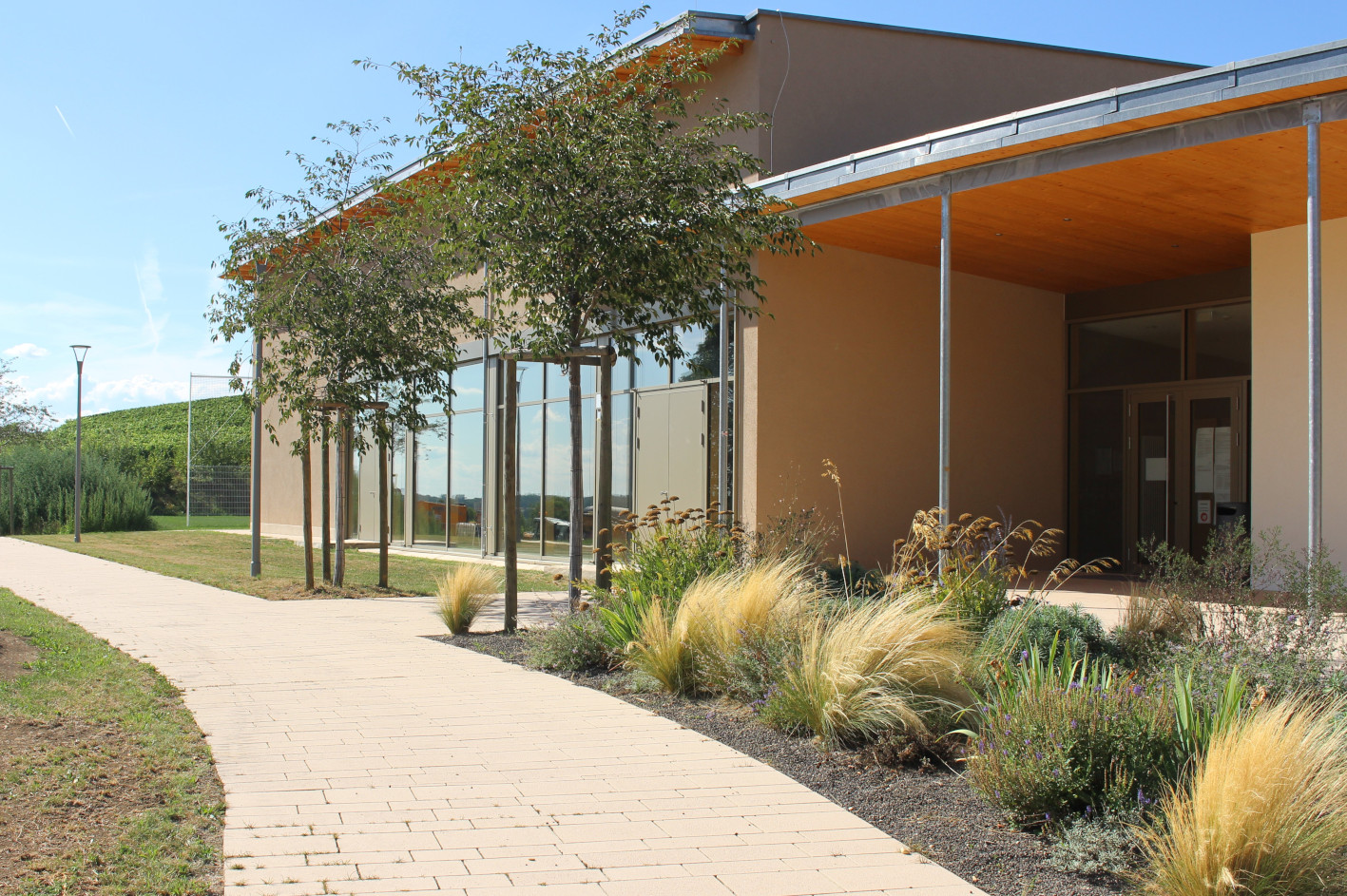 Bepflanzung Eingangsbereich