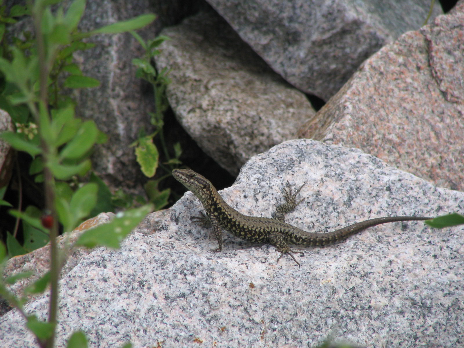 Leistungen Umweltmanagement