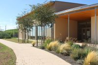 Bepflanzung Eingangsbereich